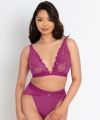 Figi Scantilly Indulgence z wysokim stanem orchid/late
