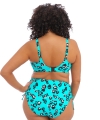 Kostium kąpielowy Elomi Kotiya bikini top miękki lagoon