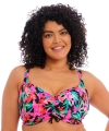 Kostium kąpielowy Elomi Savaneta bikini top miękki
