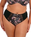 Figi Elomi Morgan Summer garden high leg