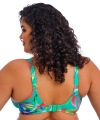 Kostium kąpielowy Elomi Toyama tides plunge bikini miękki jade