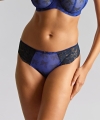 Figi brazyliany Panache Nina blue bows