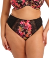 Figi Elomi Morgan Hot-house high leg