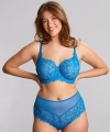 Figi Panache Allure z wysokim stanem koronkowe azure blue