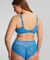 Biustonosz Panache Allure full cup miękki azure blue